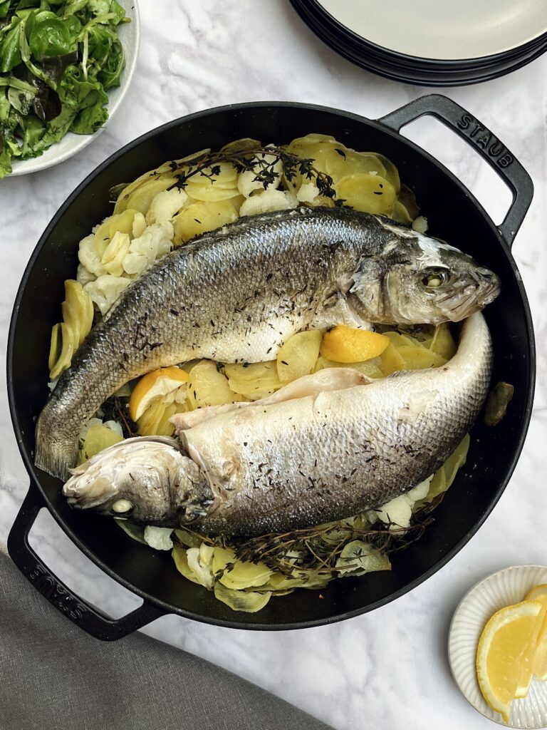 seabass, sea bass, fish
