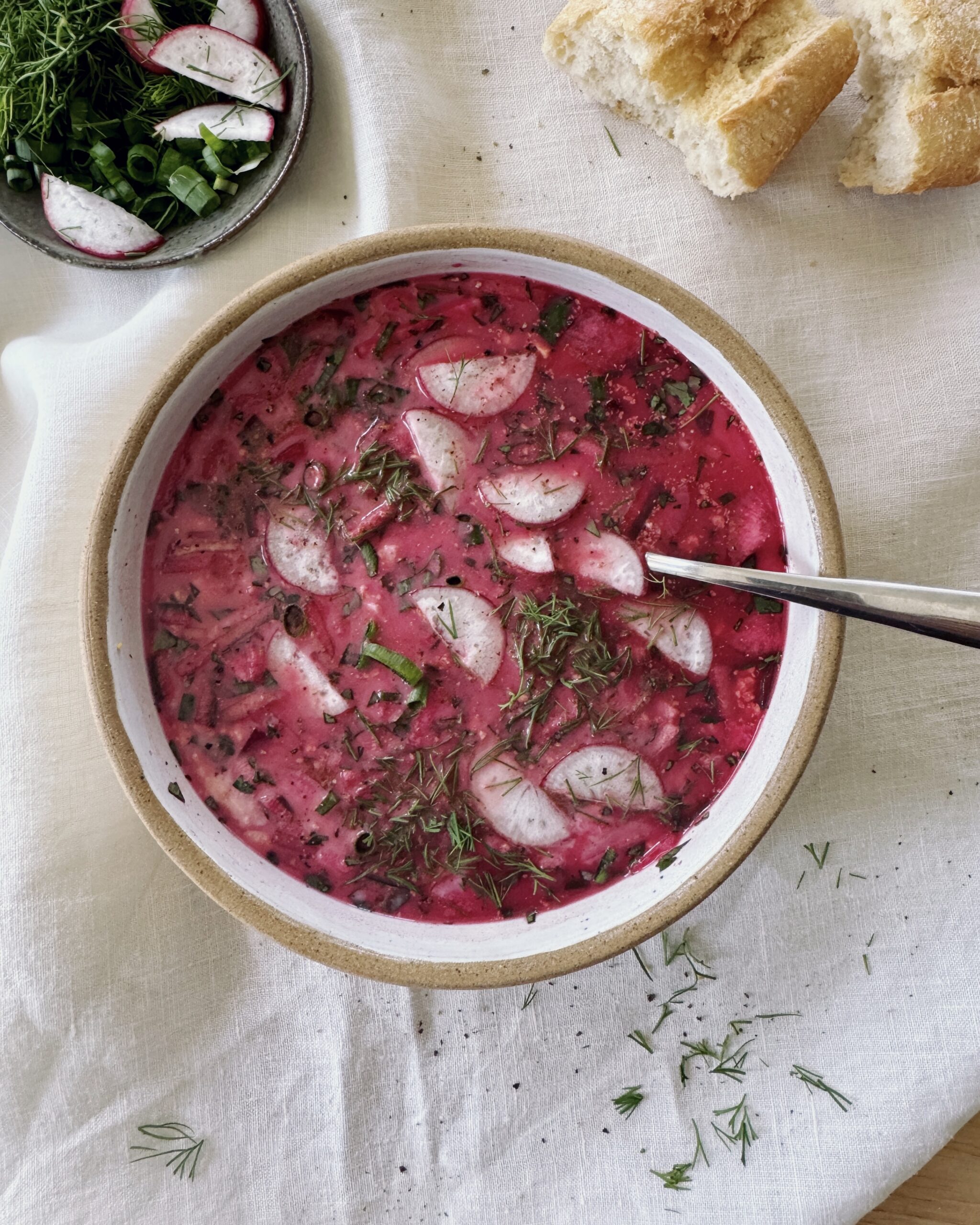 a bowl with svekolnik, russian cold beetroot soup, garnished with radishes and fresh herbs
